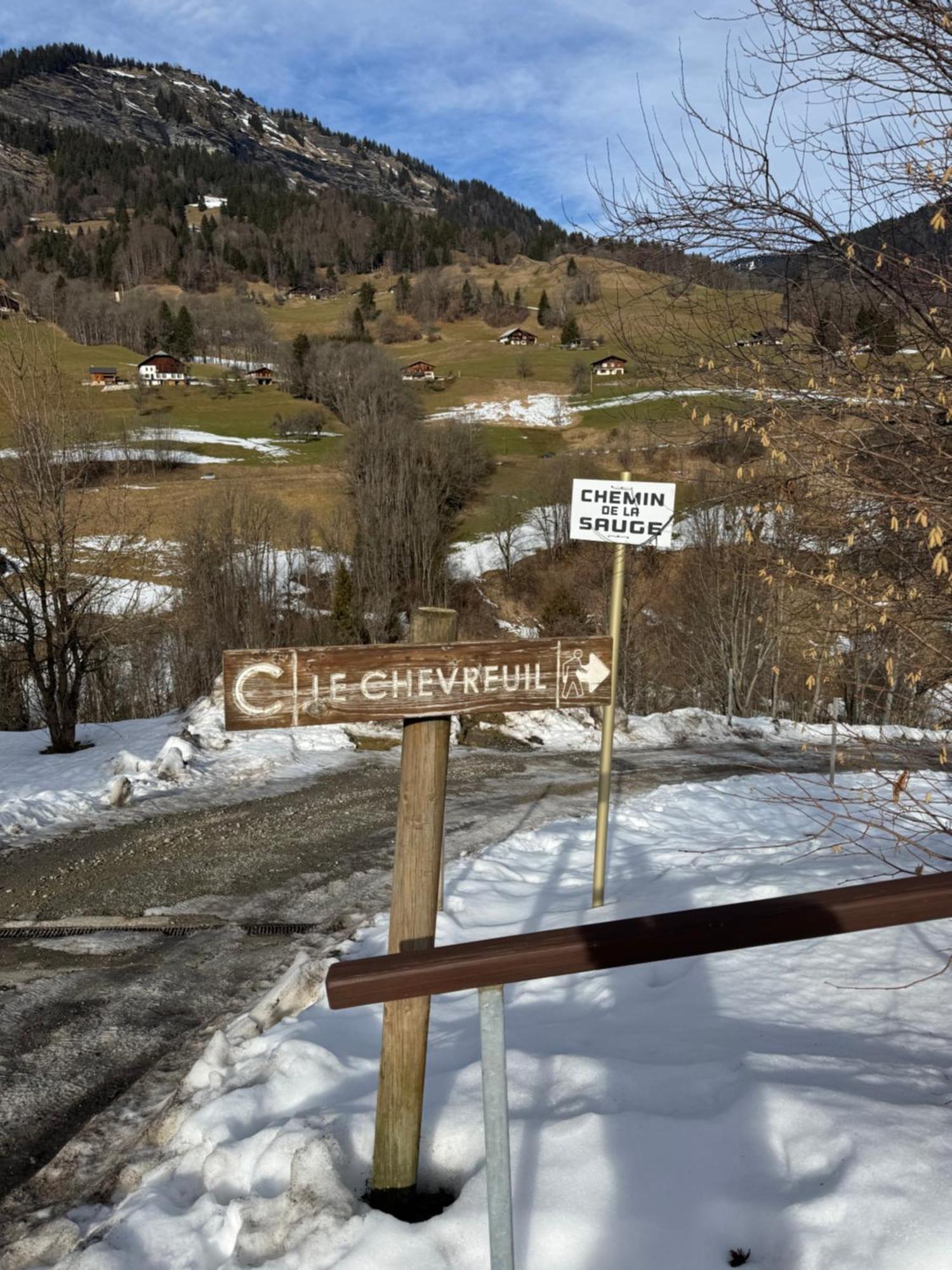 Piste Verte Flumet Luaran gambar